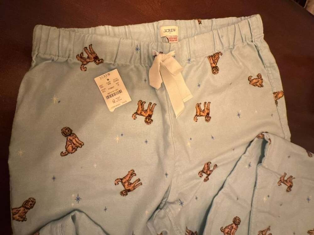 J. Crew Pajama Pants Size M Blue Puppy Dog Print